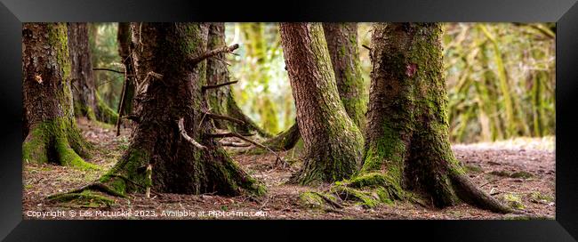 The bottom of the forest floor Framed Print by Les McLuckie