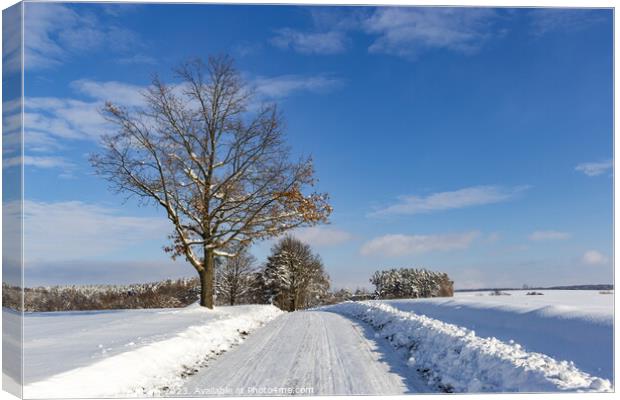 Road in the countryside after heavy snowfall in central Europe Canvas Print by Sergey Fedoskin