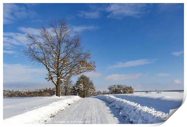 Road in the countryside after heavy snowfall in central Europe Print by Sergey Fedoskin