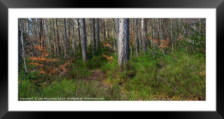 The forest floor  Framed Mounted Print by Les McLuckie