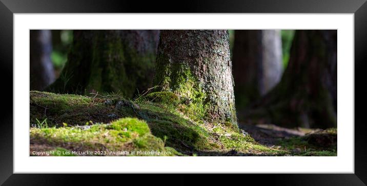 The Forest Framed Mounted Print by Les McLuckie