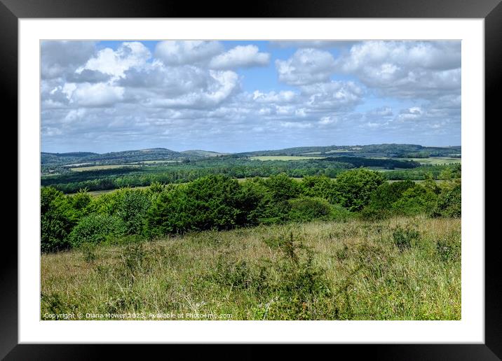 South Downs from the Devils Humps Framed Mounted Print by Diana Mower