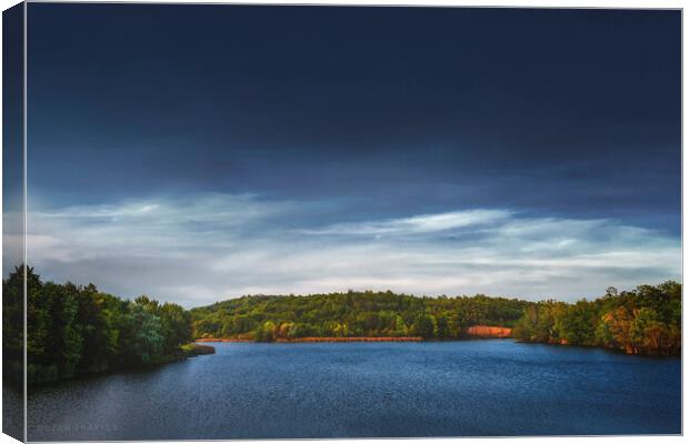 Everything's quiet on the small lake Canvas Print by Dejan Travica