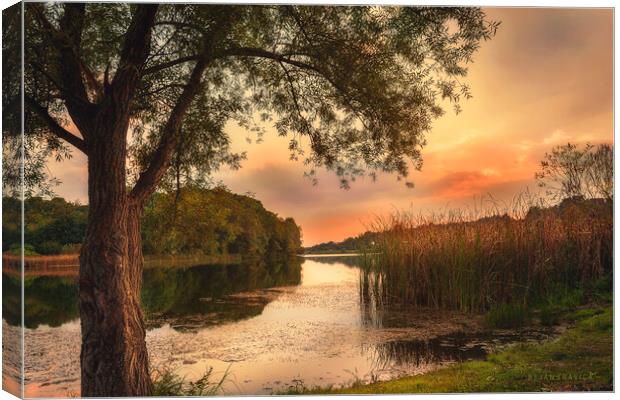 A secret place on the small lake Canvas Print by Dejan Travica