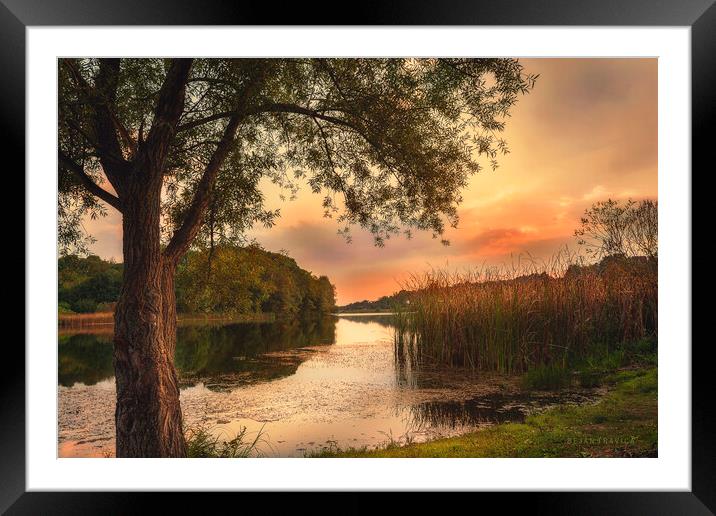 A secret place on the small lake Framed Mounted Print by Dejan Travica