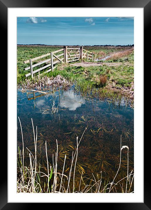 Marsh View Framed Mounted Print by Stephen Mole