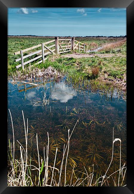 Marsh View Framed Print by Stephen Mole