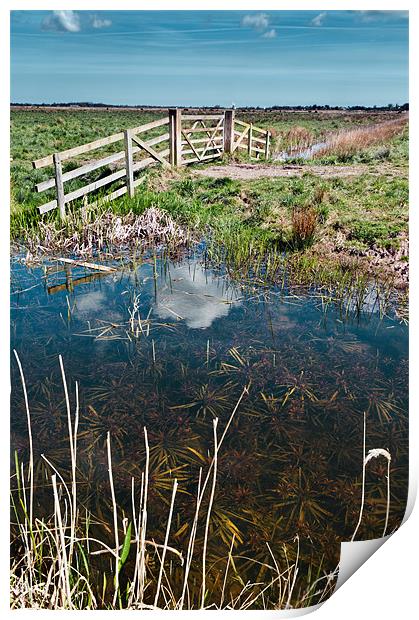 Marsh View Print by Stephen Mole