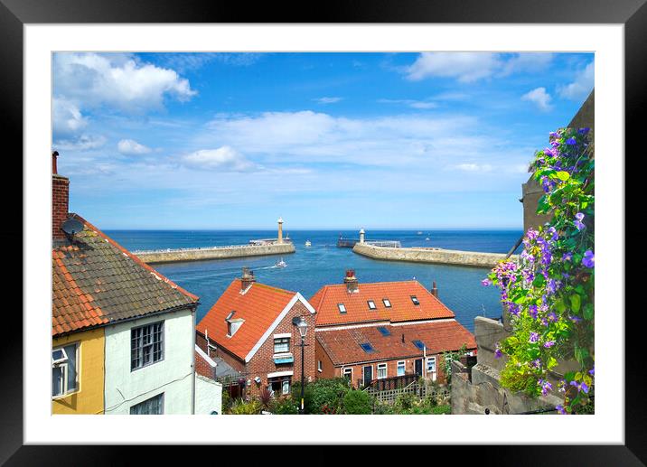 Whitby Lighthouse View Framed Mounted Print by Alison Chambers