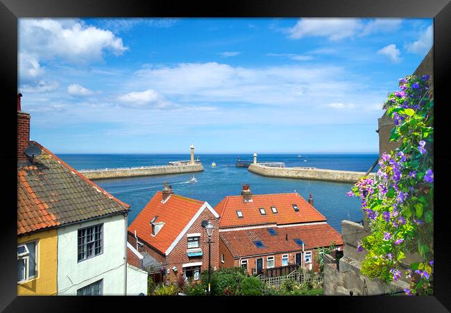 Whitby Lighthouse View Framed Print by Alison Chambers