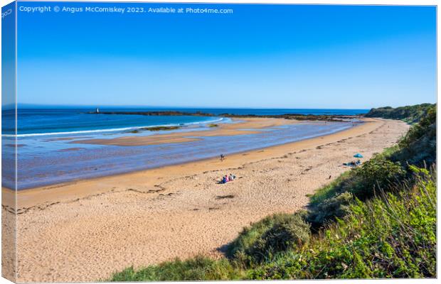 Golden sands of Seacliff Beach, East Lothian Canvas Print by Angus McComiskey