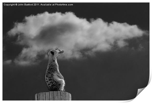 The Lookout Print by John Basford