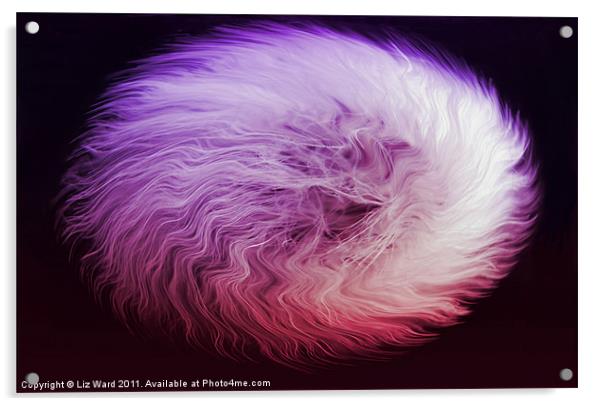 Pink Fluffy Acrylic by Liz Ward