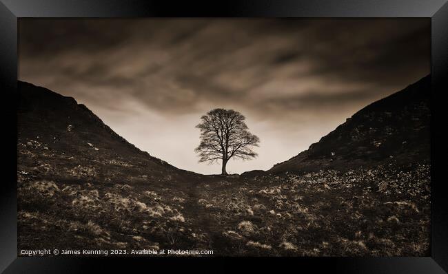 Sycamore Gap under Moody Clouds Framed Print by James Kenning