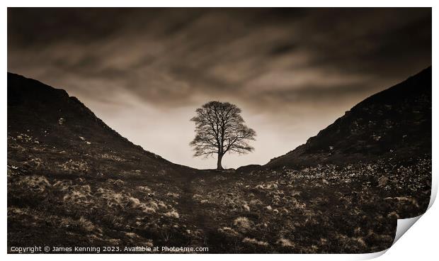 Sycamore Gap under Moody Clouds Print by James Kenning