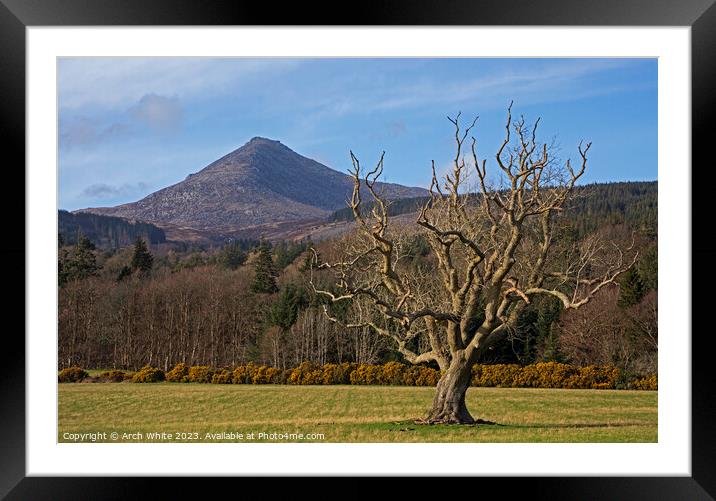 Goat Fell Mountain, Isle of Arran, North Ayrshire, Framed Mounted Print by Arch White