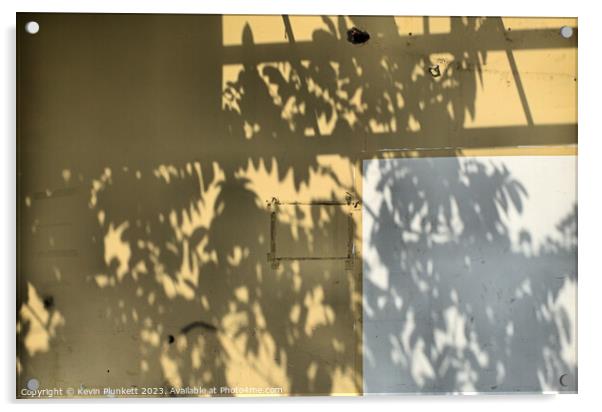 Shadows on a wall Acrylic by Kevin Plunkett