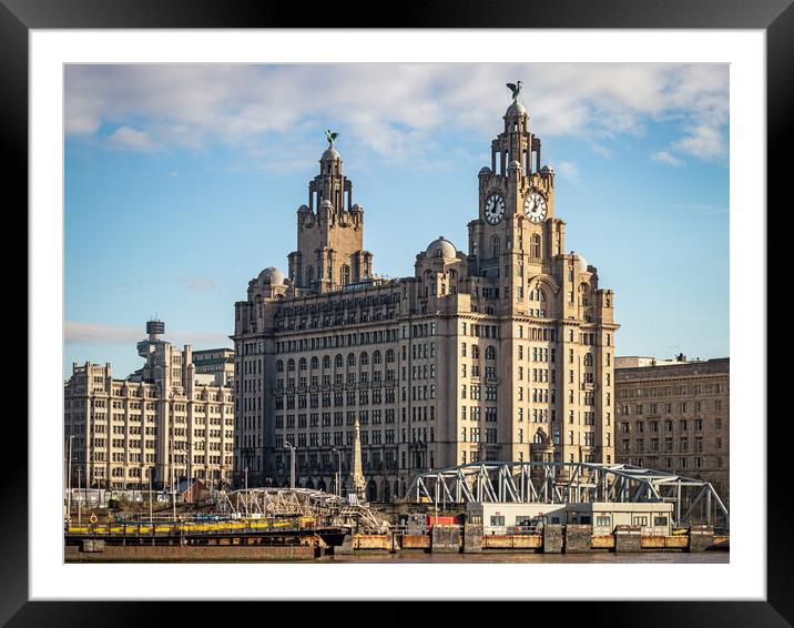 Royal Liver Building, Liverpool. Framed Mounted Print by David Jeffery