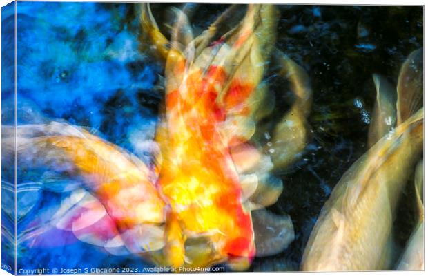 The Beauty Of Koi Canvas Print by Joseph S Giacalone