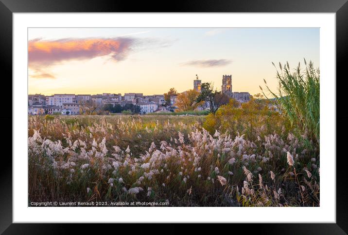 Pont-Saint-Esprit over the Rhone in Occitanie. Photography taken Framed Mounted Print by Laurent Renault