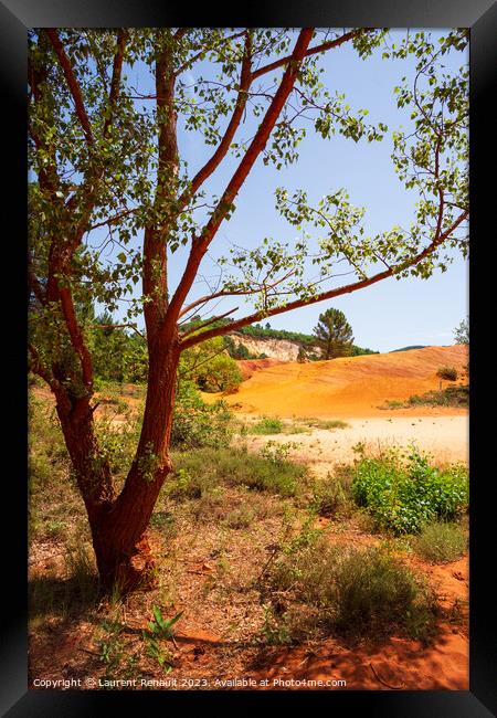 Sunlit scenes in The Provençal Colorado (The ochre rocks of le  Framed Print by Laurent Renault