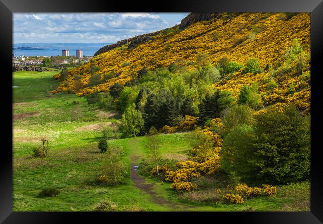 Scottish Lowlands Landscape In Spring Framed Print by Artur Bogacki