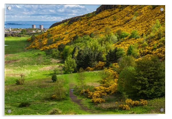 Scottish Lowlands Landscape In Spring Acrylic by Artur Bogacki
