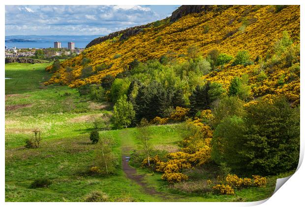 Scottish Lowlands Landscape In Spring Print by Artur Bogacki