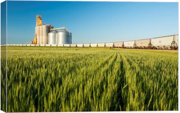 spring wheat field with new rail hopper cars on a loop track Canvas Print by Dave Reede
