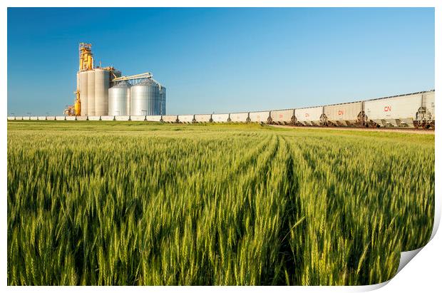 spring wheat field with new rail hopper cars on a loop track Print by Dave Reede