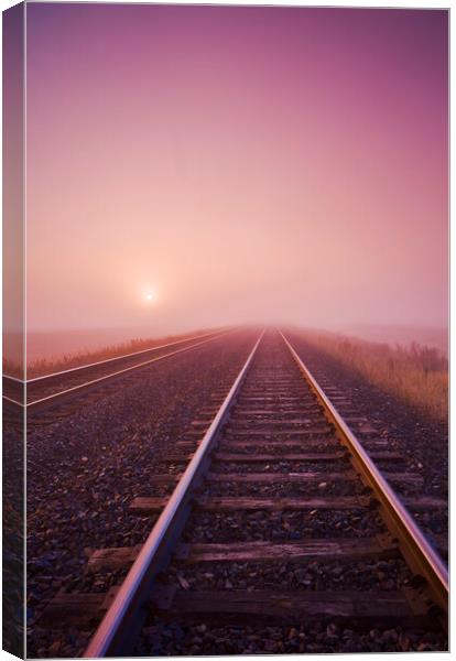 Railway Tracks in the Mist Canvas Print by Dave Reede