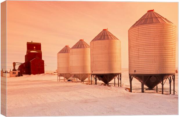 old grain elevator Canvas Print by Dave Reede