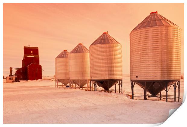 old grain elevator Print by Dave Reede