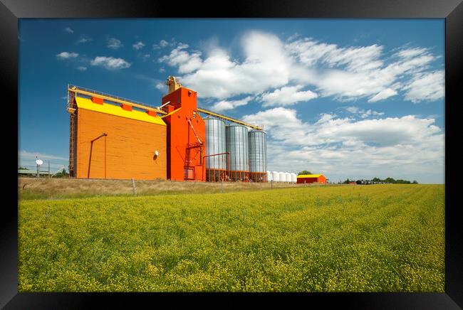 flax field and and grain elevator Framed Print by Dave Reede