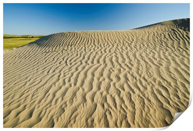  the Great Sandhills Print by Dave Reede