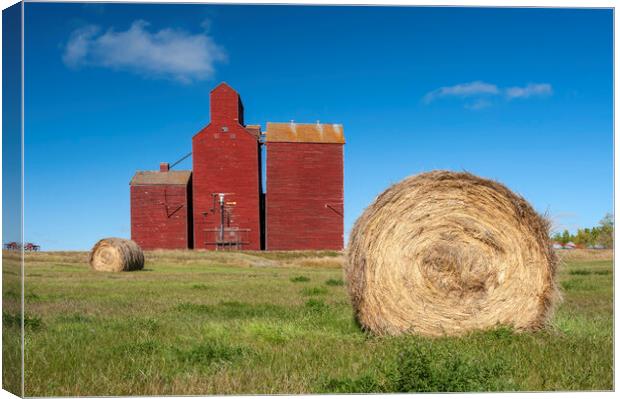 field with round hay bales and old grain elevator Canvas Print by Dave Reede