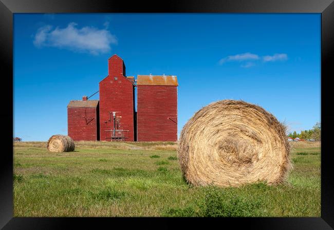 field with round hay bales and old grain elevator Framed Print by Dave Reede