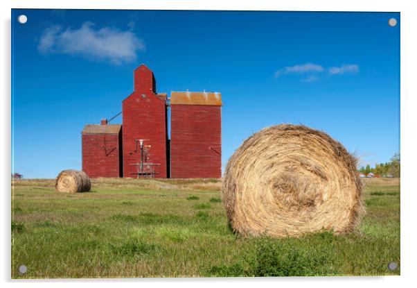 field with round hay bales and old grain elevator Acrylic by Dave Reede