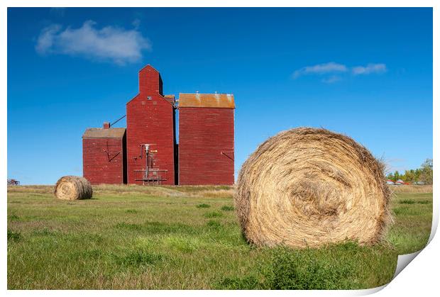 field with round hay bales and old grain elevator Print by Dave Reede
