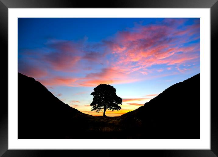 Sycamore Gap Framed Mounted Print by Alison Chambers