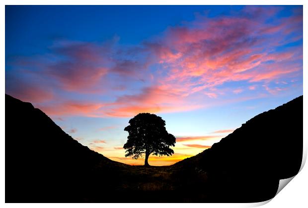 Sycamore Gap Print by Alison Chambers