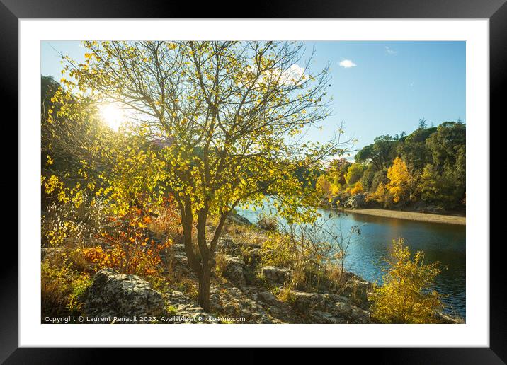 Autumn landscape of trees with colorful fall foliage against the Framed Mounted Print by Laurent Renault