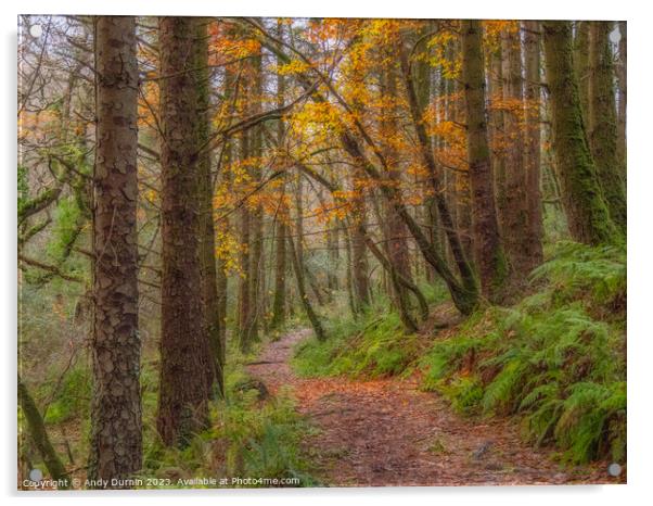Autumnal Woodland Walk Acrylic by Andy Durnin