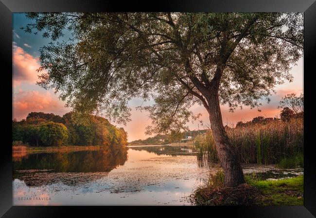 A secret place on the small lake 2 Framed Print by Dejan Travica