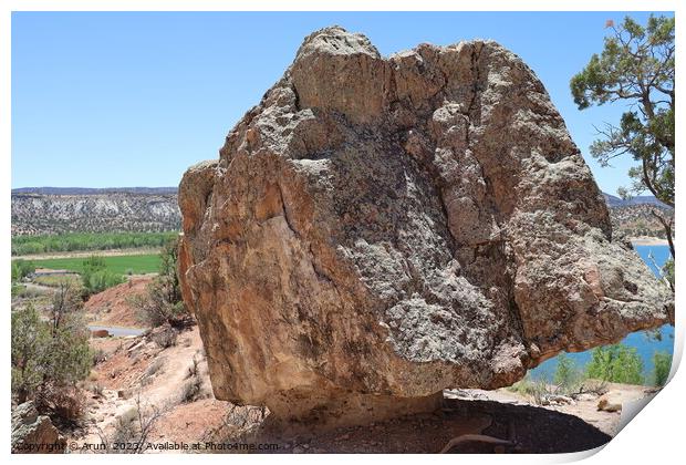 Petrified forest state park Utah Print by Arun 