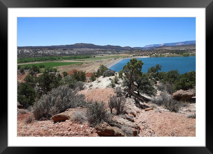 Petrified forest state park Utah Framed Mounted Print by Arun 