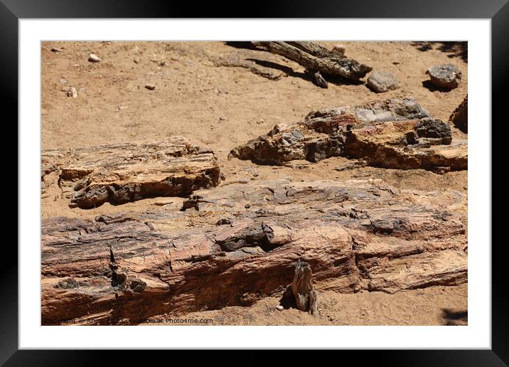 Petrified forest state park Utah Framed Mounted Print by Arun 