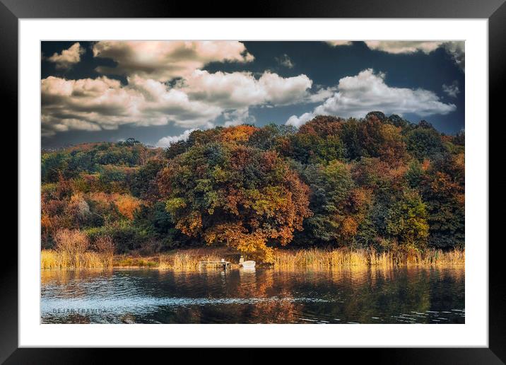 Colorful forest next to the lake Framed Mounted Print by Dejan Travica