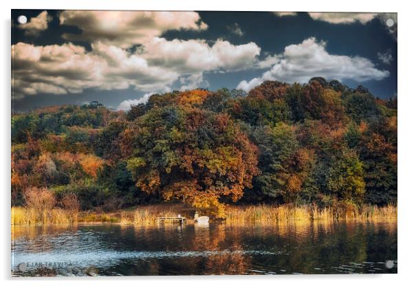 Colorful forest next to the lake Acrylic by Dejan Travica