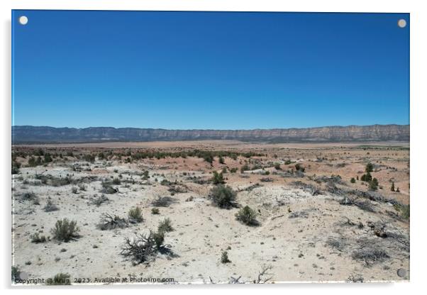 Desert landscape Utah Acrylic by Arun 